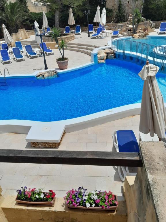 Bazén v ubytování Cornucopia Hotel nebo v jeho okolí