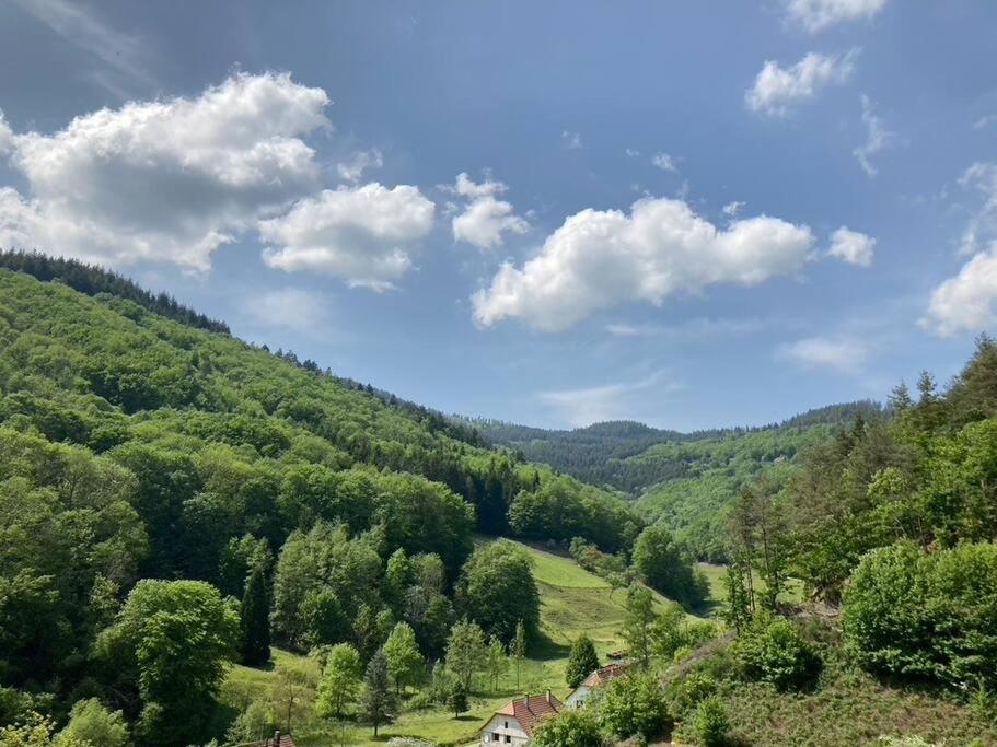 Blick auf ein Tal in den Bergen mit Bäumen in der Unterkunft La belle vallée in Lalaye
