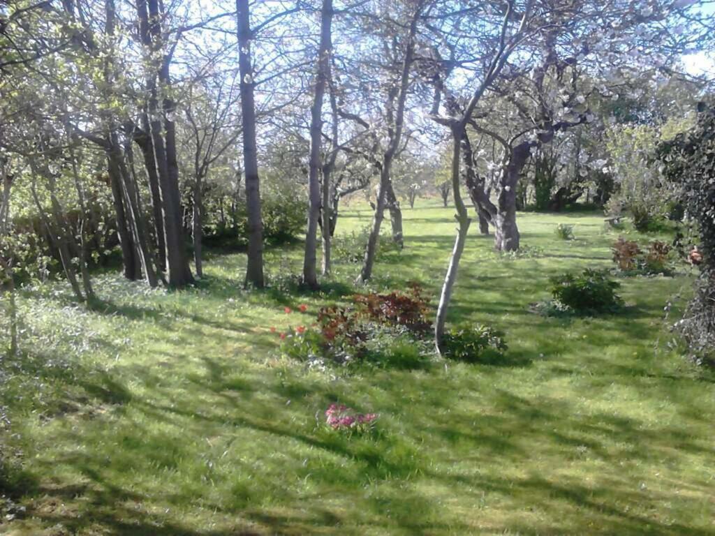 Zahrada ubytování Moen Oekologisk Bed & Breakfast