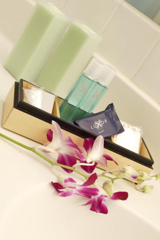 Hotel Luxor - Resim 38