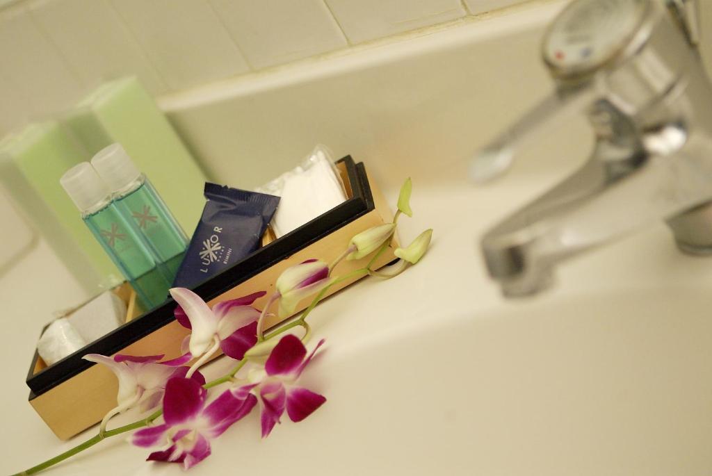 Hotel Luxor - Resim 8