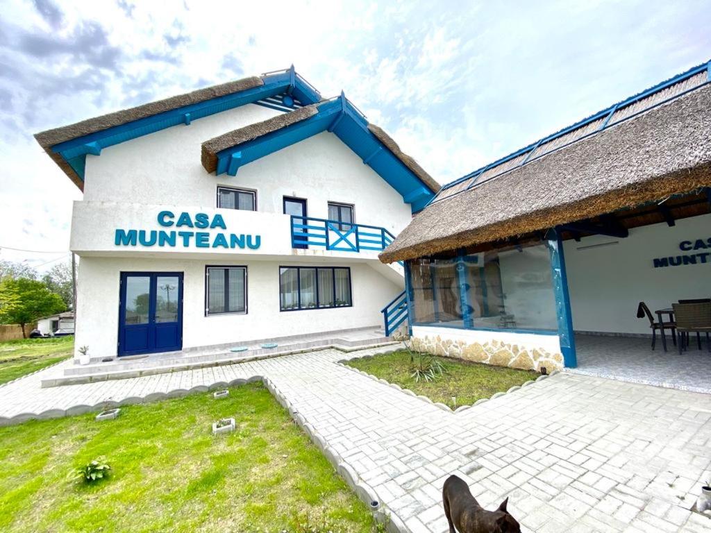 米拉二十三的住宿－Casa Munteanu，前面有一只猫的白色大建筑