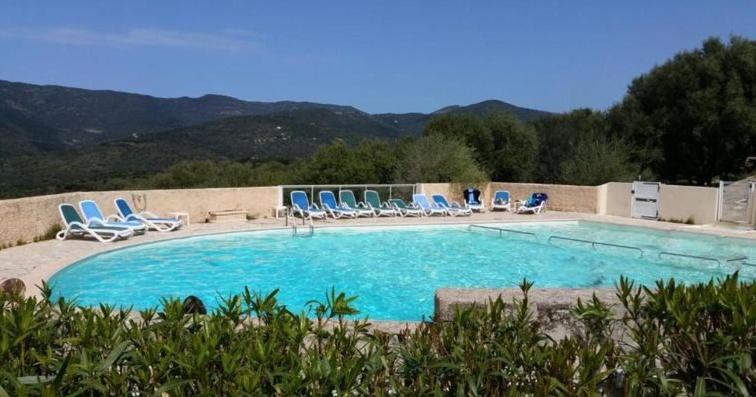 una gran piscina con sillas azules en MAISON ALBA ROSSA 55 en Serra-di-Ferro