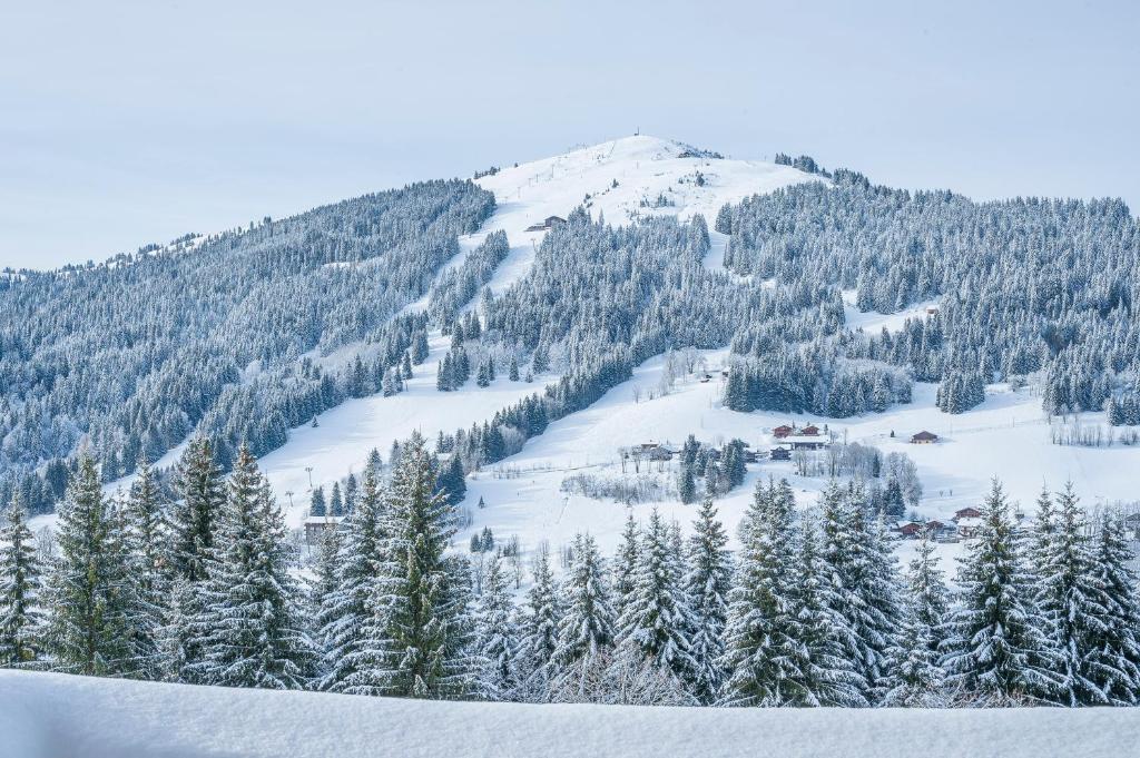 a mountain covered in snow with trees on it at Chalet Le Lapye in Les Gets