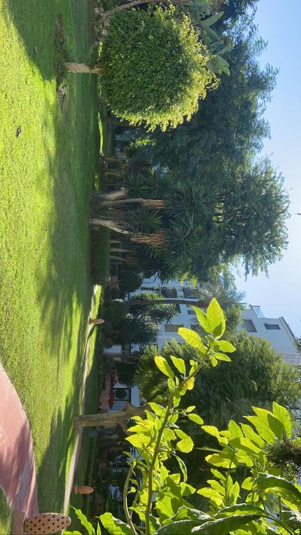 Fotografie z fotogalerie ubytování Rez de jardin en plein cœur de Puerto Banús v destinaci Marbella