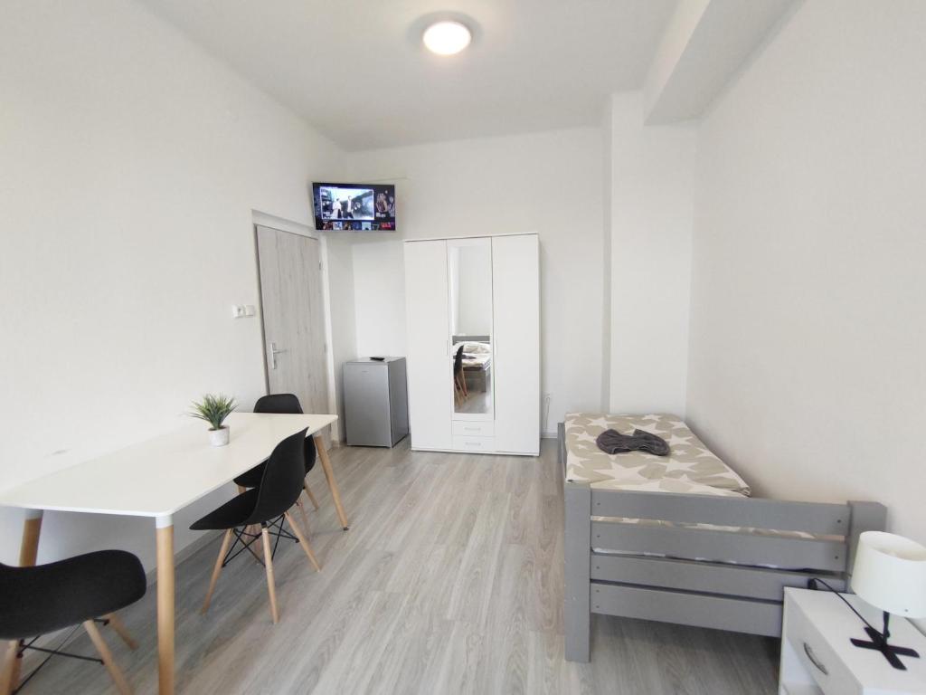 Kuchyň nebo kuchyňský kout v ubytování Hotel Slobi