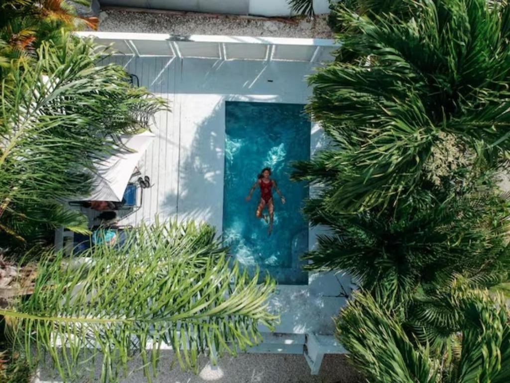 an overhead view of a man in the water on a pool at Casa Loba Suite 4 with private pool in Rincon