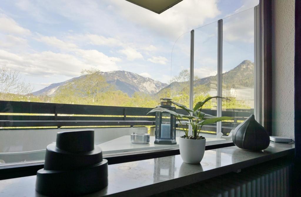 a room with a large window with a plant on a counter at Appartement Traumblick in Bad Reichenhall