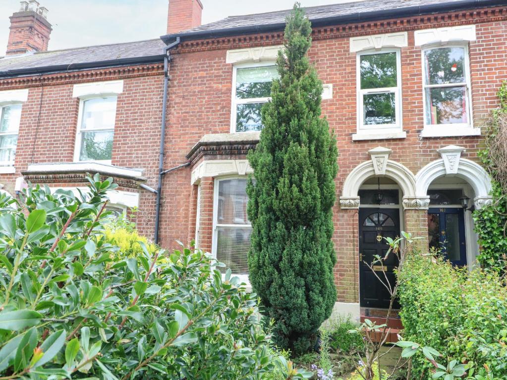 un árbol alto frente a una casa de ladrillo en Unthank Cottage, en Norwich