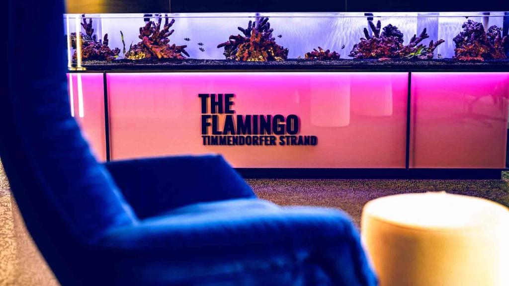 a living room with a blue chair and a tv at The Flamingo in Timmendorfer Strand