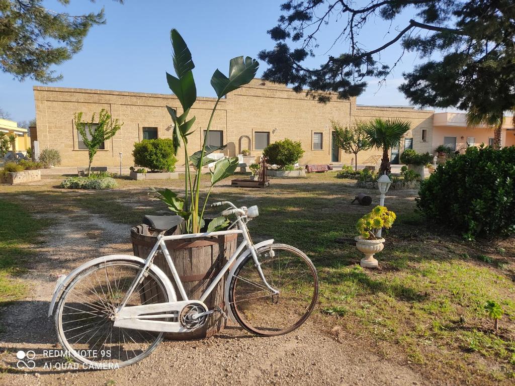 una bicicletta bianca parcheggiata accanto a una pianta in vaso di Masseria Don Egidio a Melendugno
