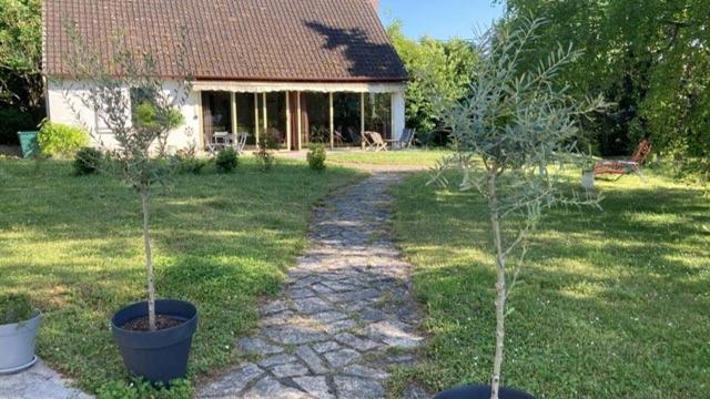 zwei Bäume in Töpfen in einem Hof mit einem Haus in der Unterkunft Domaine des Montots in Tanlay