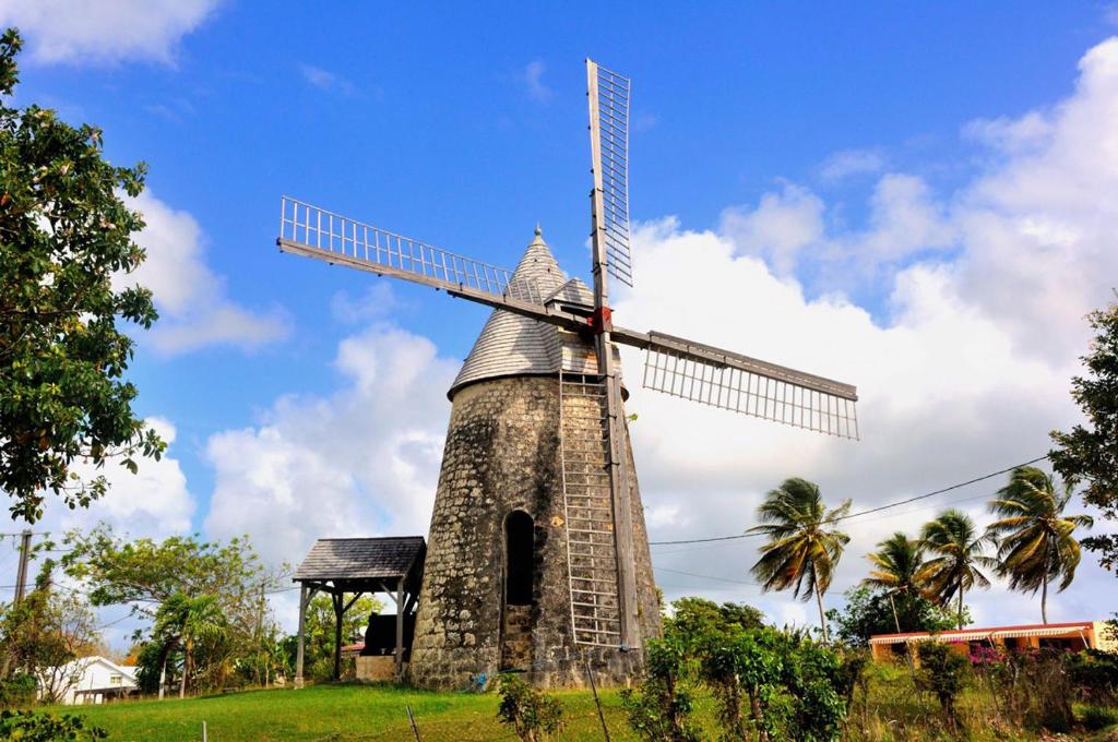 a stone windmill in a field with palm trees at Villa Libellule in Grand-Bourg