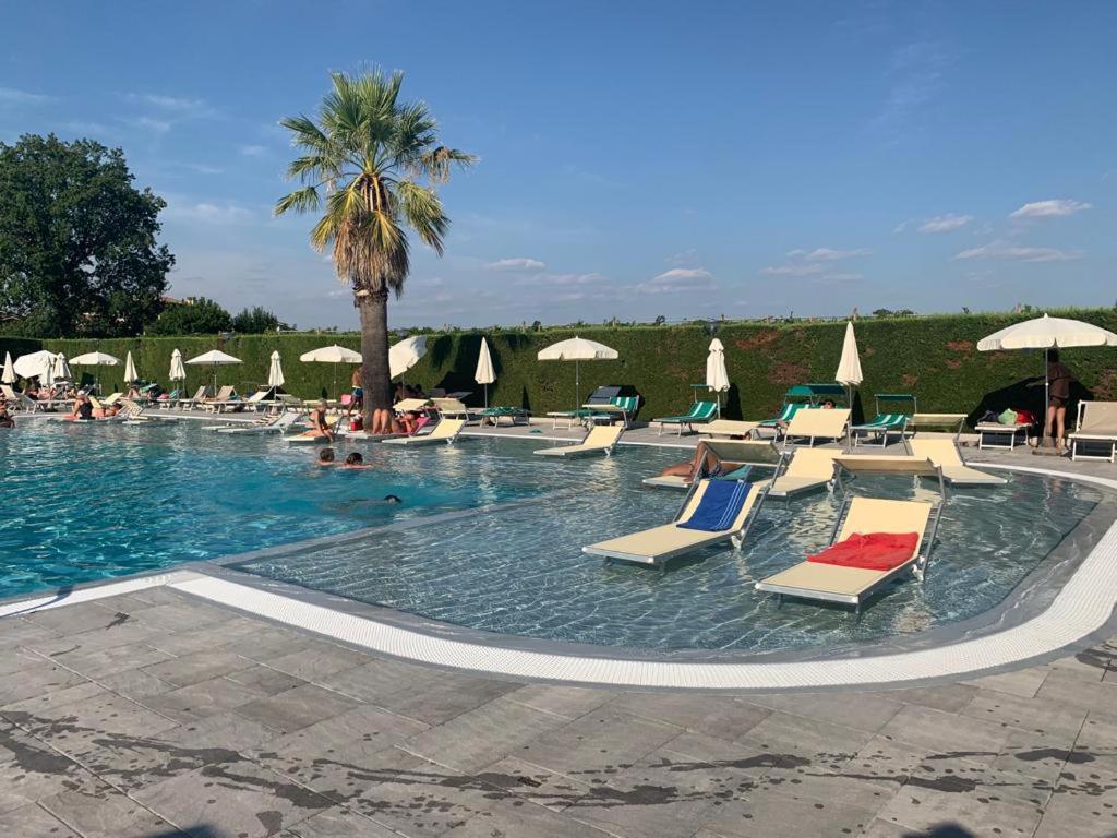 una piscina con tumbonas y una palmera en Residenza Vigneti, en Colà di Lazise