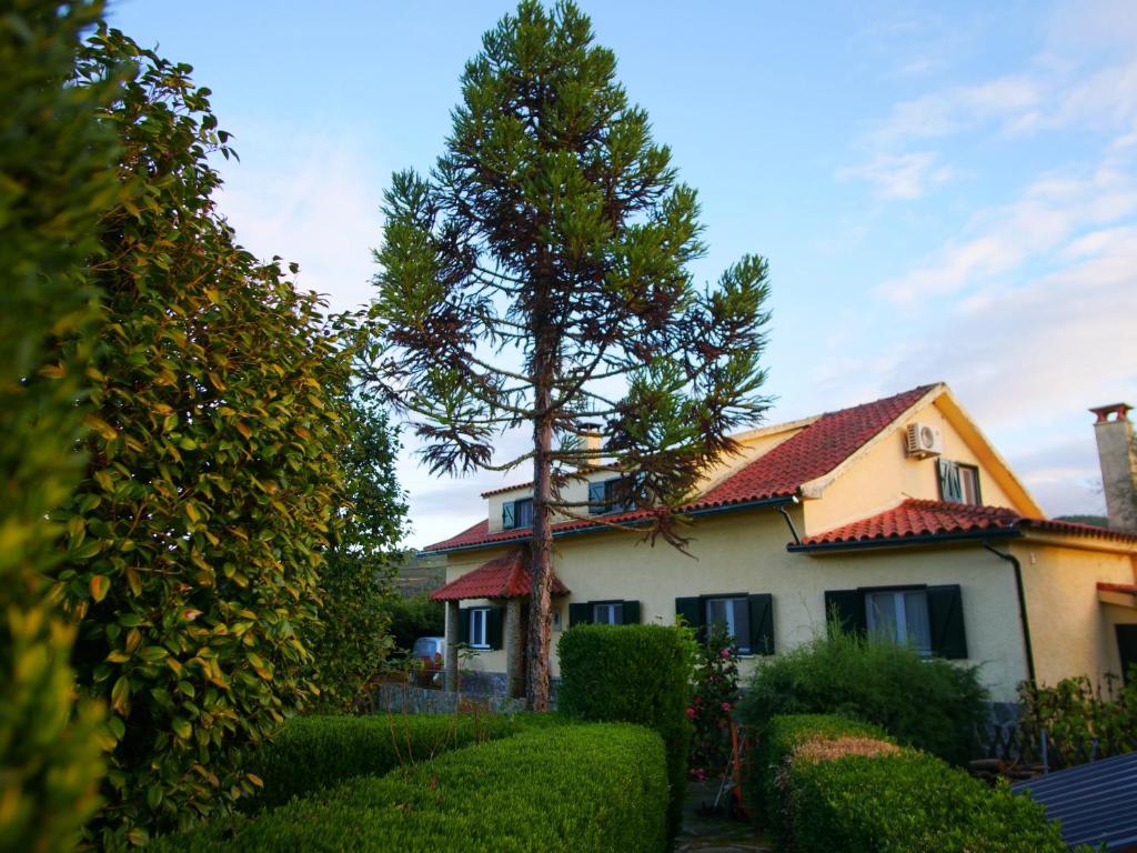 a house with a tree in front of it at Sonhos Cósmicos in Barril de Alva