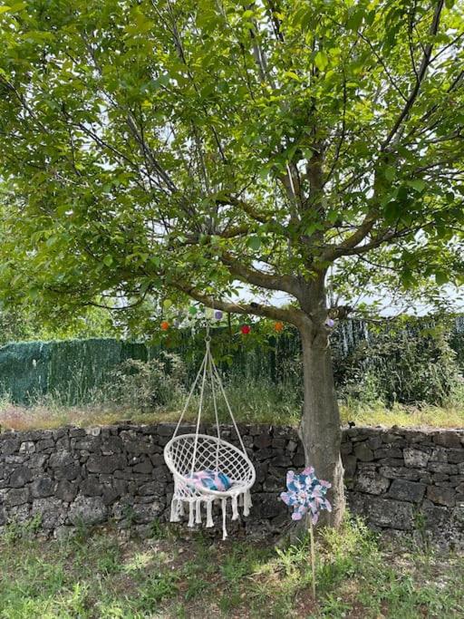 a swing under a tree next to a stone wall at Le calme de la campagne proche de tout..... in Les Arcs sur Argens