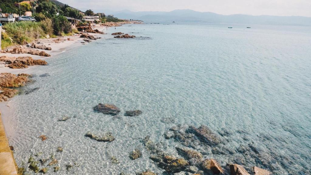 Fotografia z galérie ubytovania Superbe T2 calme & confortable - très bien situé! v destinácii Ajaccio