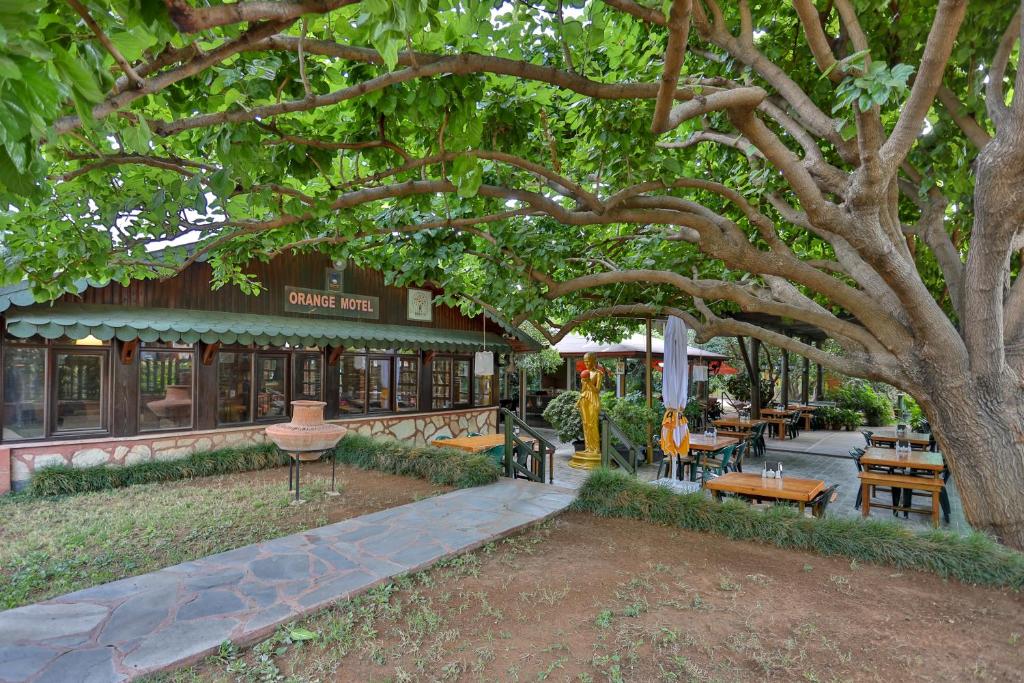 un gran árbol frente a un edificio en Çıralı Orange Motel en Cıralı