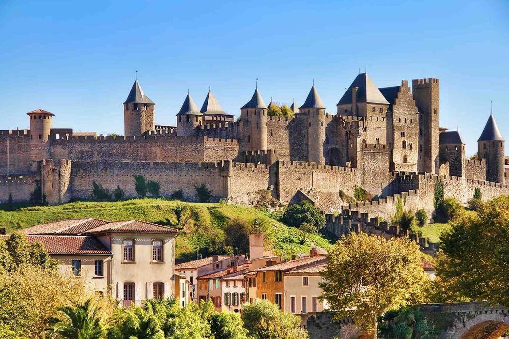 een groot kasteel bovenop een heuvel met huizen bij Chez Gaëlle in Trèbes