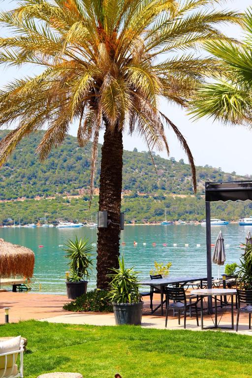 Kép Moyo Luxury Hotel & Beach szállásáról Torbában a galériában