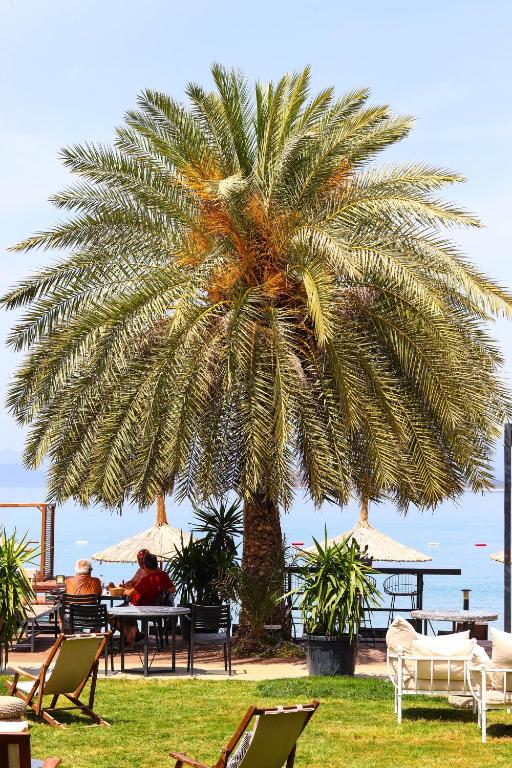 Kép Moyo Luxury Hotel & Beach szállásáról Torbában a galériában