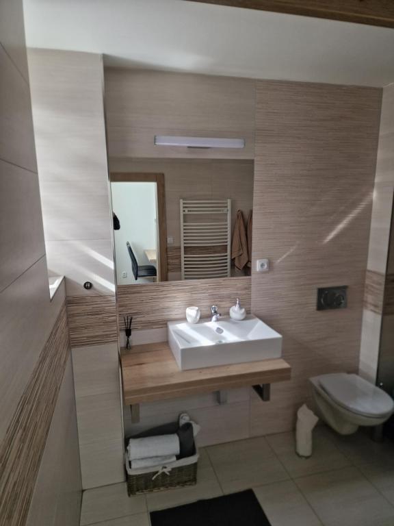Koupelna v ubytování Apartmán Eliášova