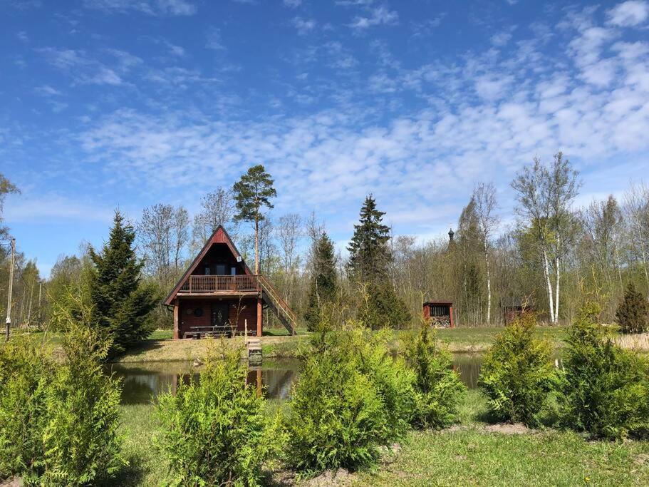 una baita nel bosco vicino a un lago di Holidayhouse with sauna and pond 