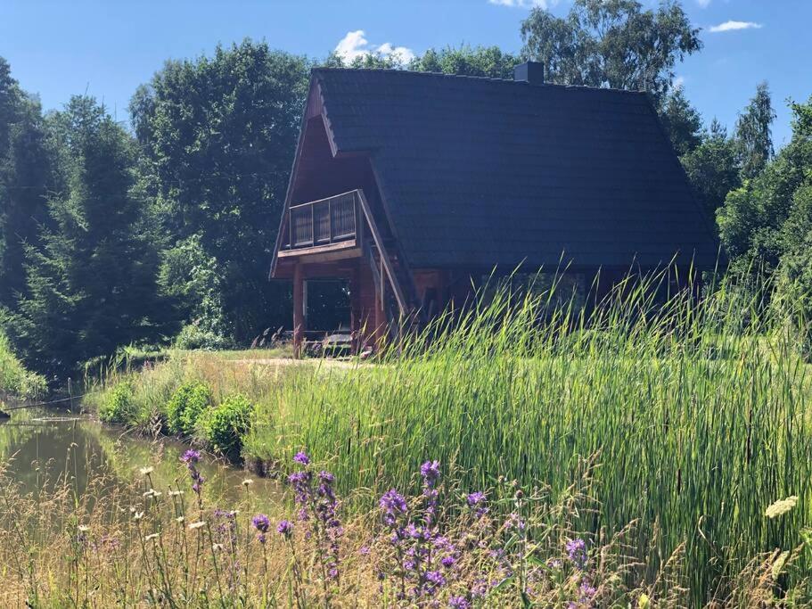 Zahrada ubytování Holidayhouse with sauna and pond