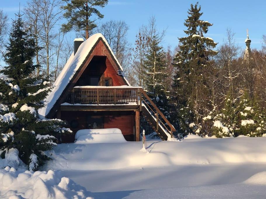 Holidayhouse with sauna and pond v zimě