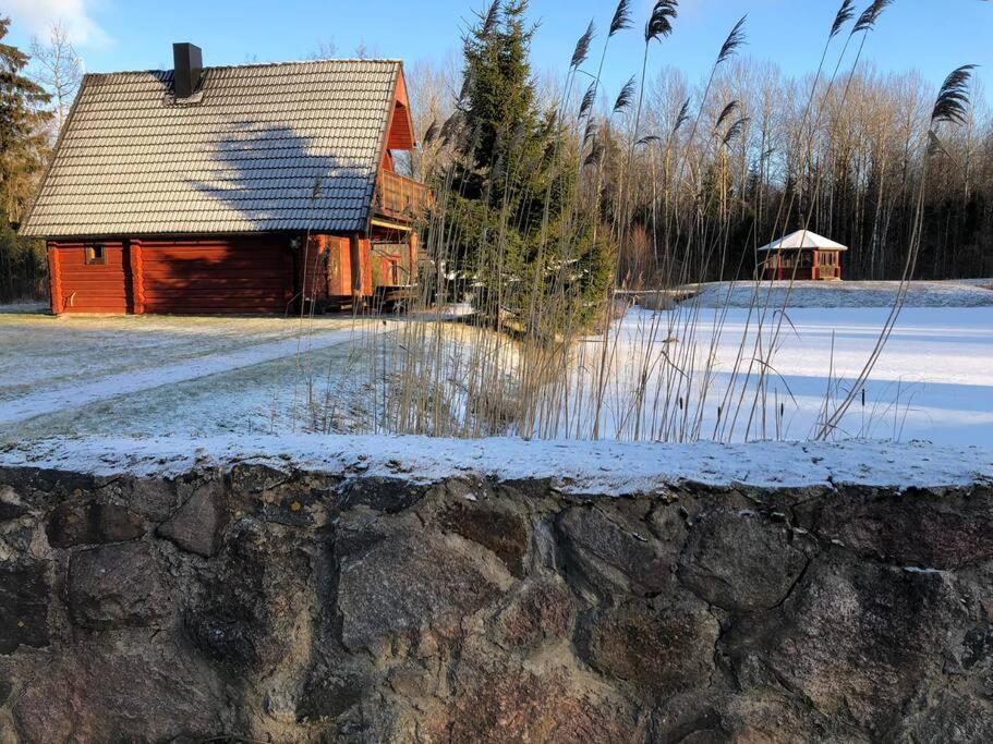 Holidayhouse with sauna and pond v zimě