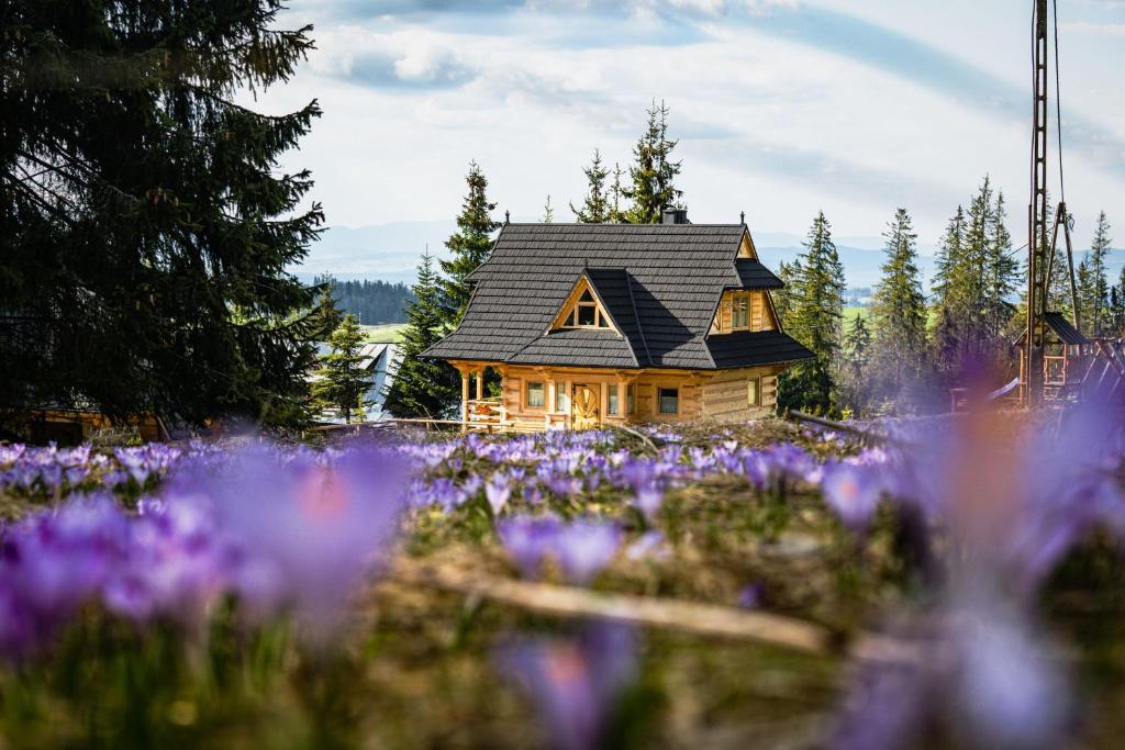 een huis met paarse bloemen ervoor bij Obrochtowa Chata in Kościelisko