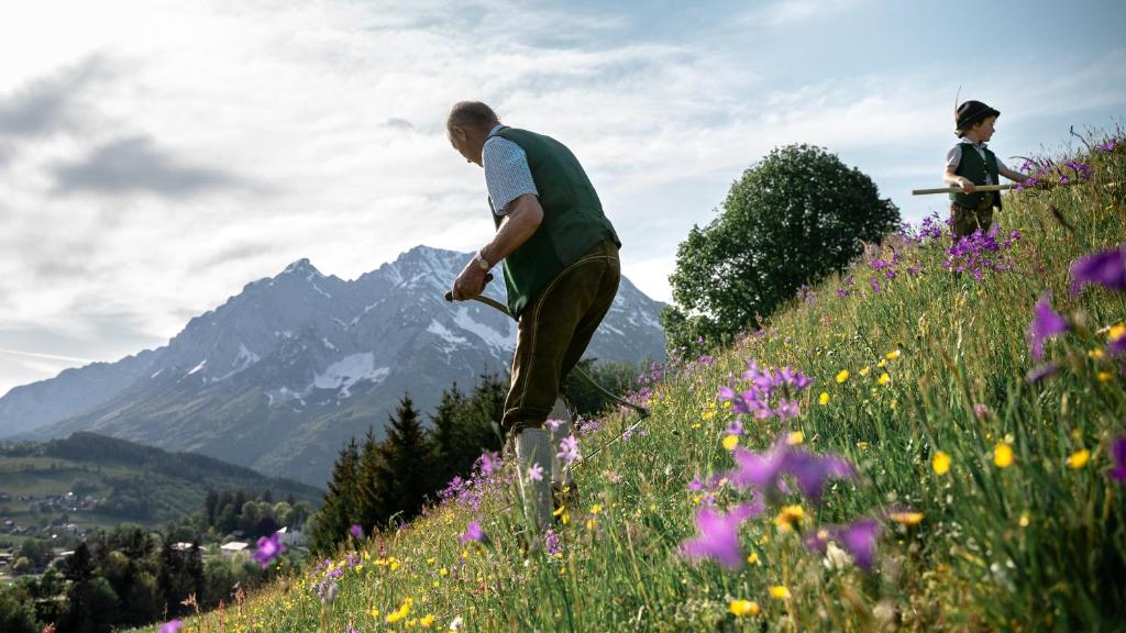 a man walking on a field of flowers at Lutzmannhof in Irdning