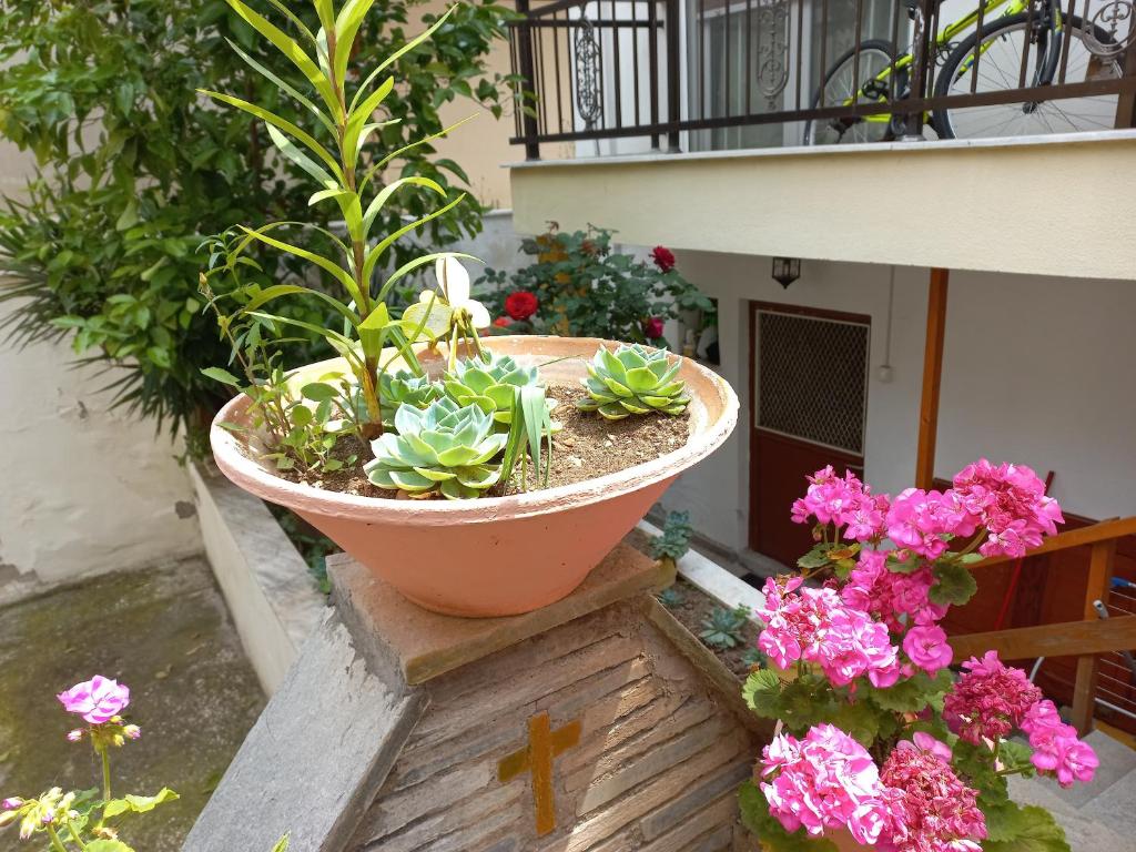 Vonkajšia záhrada v ubytovaní Sofita view Kavala