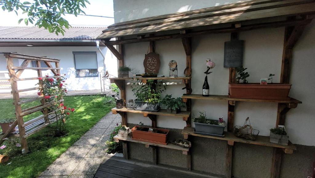 Zahrada ubytování Weingut & Gästehaus Markus Tschida