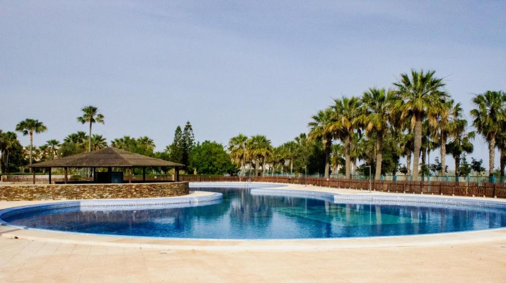 una piscina en un complejo con palmeras en The Perfect Front Beach, en Almerimar