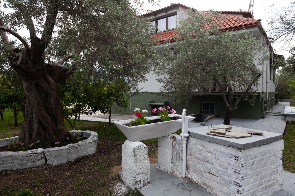 Zahrada ubytování Villa Alex