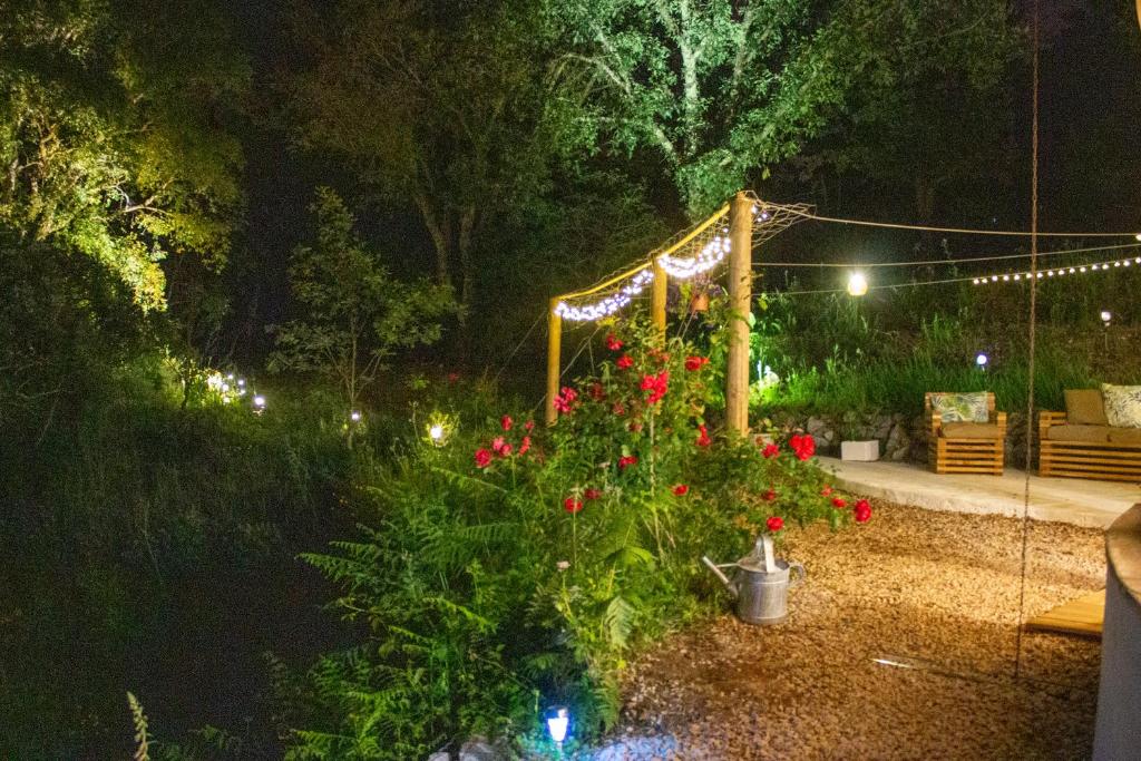 a christmas tree in a garden at night at Quinta Das Flores in Tábua