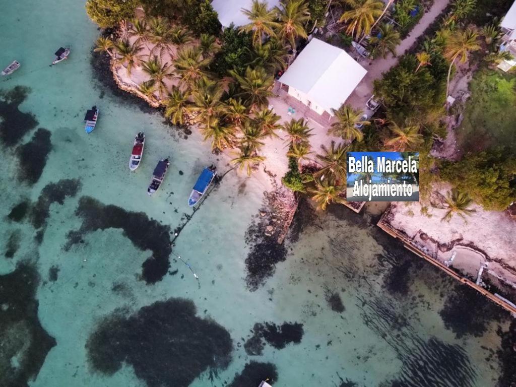 an aerial view of a beach in the water with palm trees at Bella Marcela in Buenavista