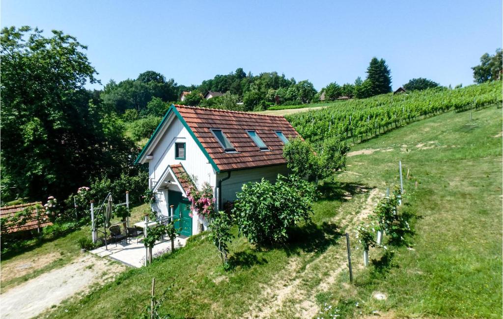 a small house on a hill with a vineyard at Amazing Home In Strem With Wifi in Strem