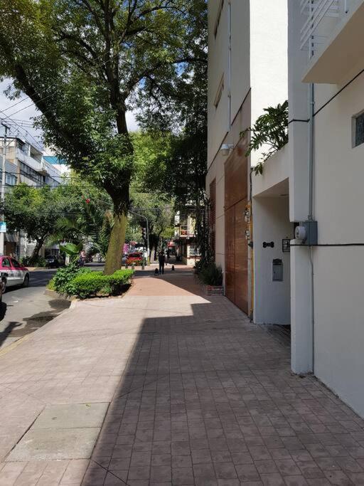 Great House at amazing location! 14 guests/5 rooms, Mexico City