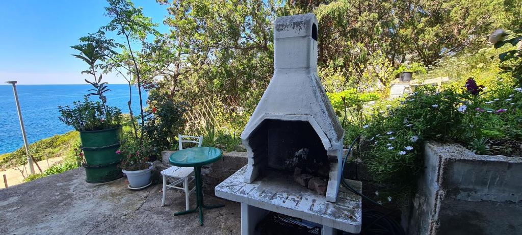 an outdoor oven sitting next to the ocean at Apartments Ana i Ante Punta in Milna