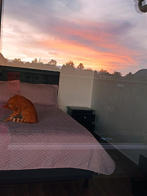 Apartamento La bonita guatape