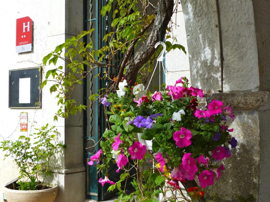 Zahrada ubytování Hotel du Levant