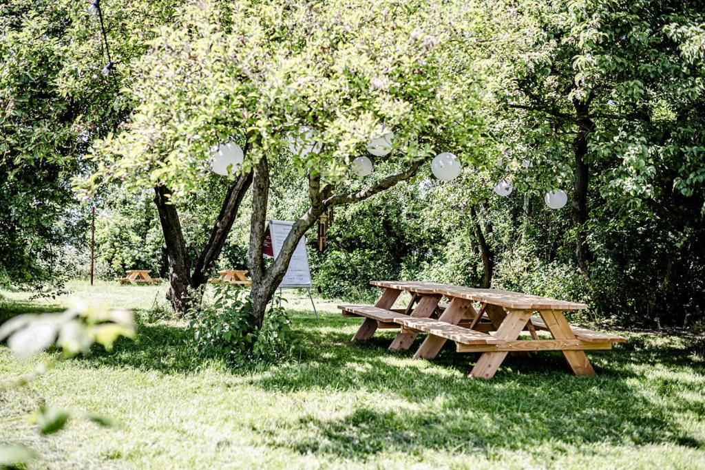 a wooden picnic table in the grass next to a tree at TinyParks Eiland Tiengemeten in Zuid-Beijerland