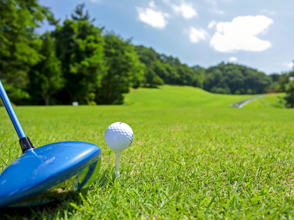 Golf v hotelu nebo okolí
