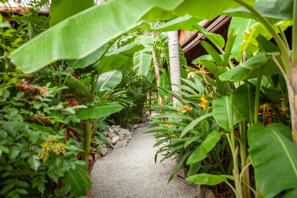 Zahrada ubytování Authentic Khmer Village Resort
