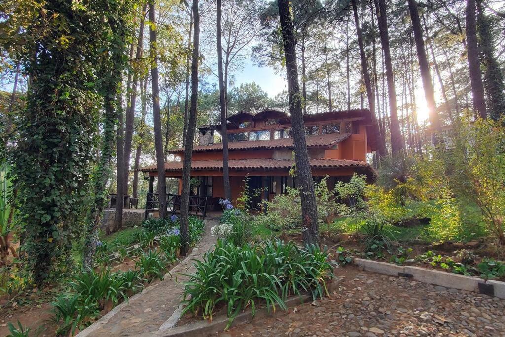 Zahrada ubytování Cabaña rustica a 1km de cascada