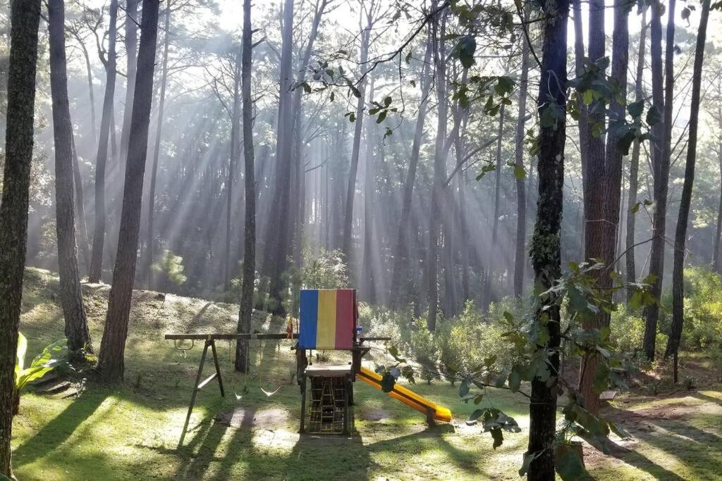 Zahrada ubytování Cabaña rustica a 1km de cascada