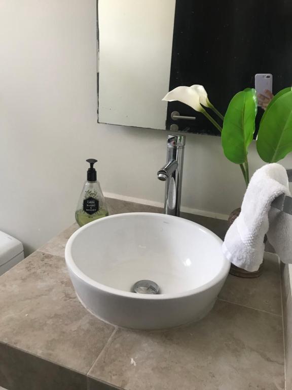 um lavatório branco numa casa de banho com uma planta em Departamento Confortable y Moderno en Acapulco Diamante em Acapulco