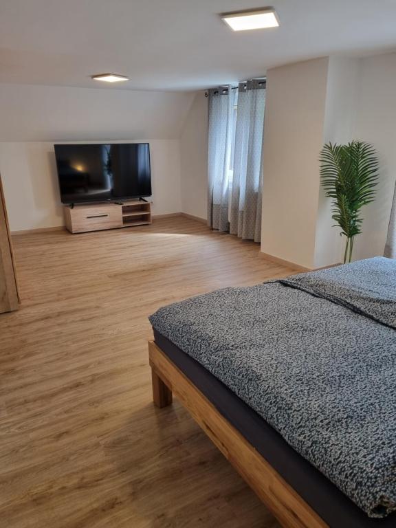 TV a/nebo společenská místnost v ubytování Ferienhaus Stefan